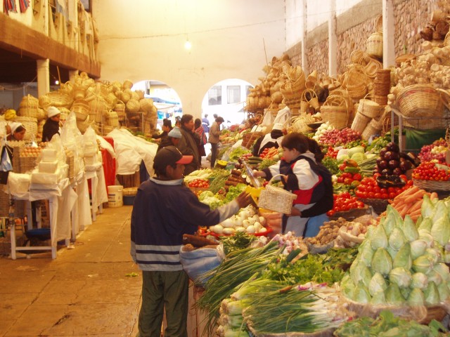 p1010144.jpg