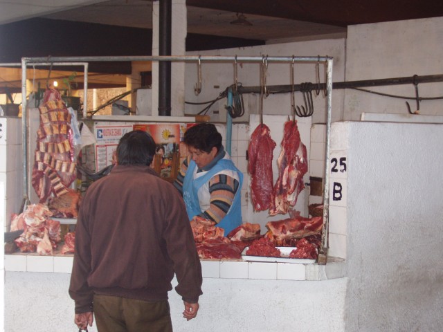 p1010146.jpg
