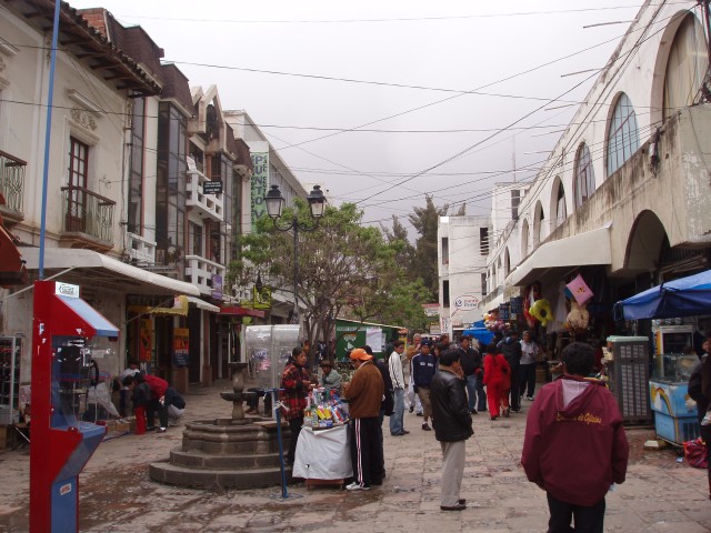 p1010147.jpg