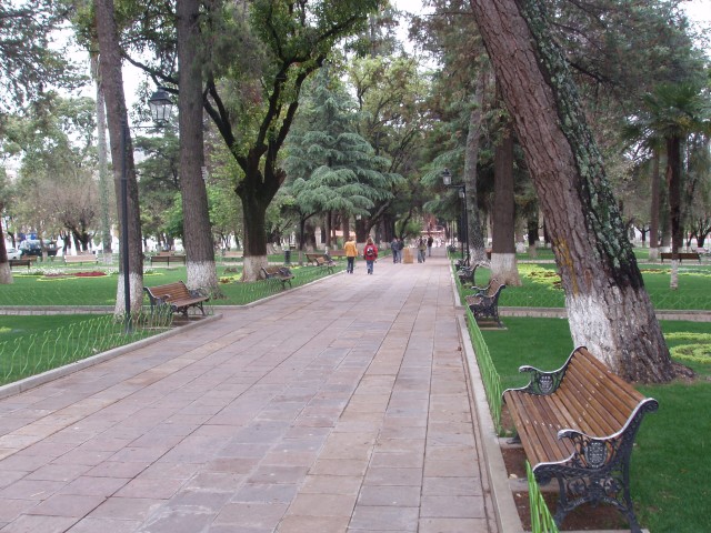 p1010156.jpg