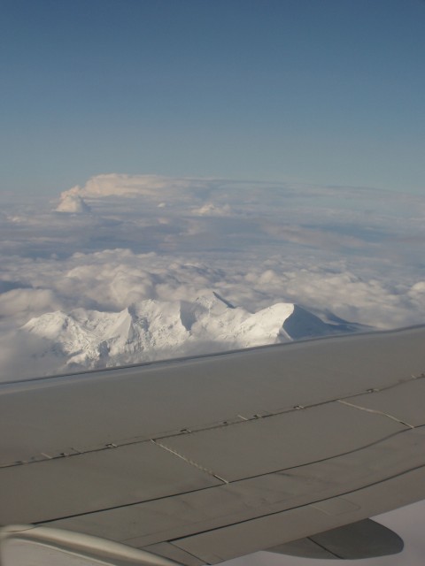 p1010183.jpg