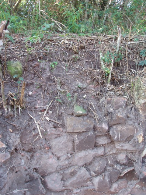 p1010285.jpg