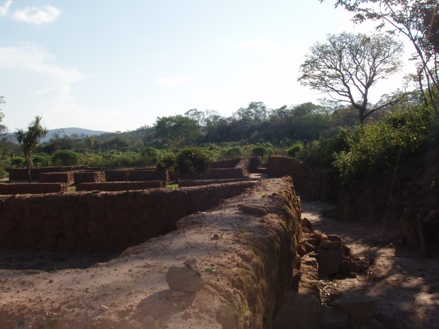 p1010286.jpg