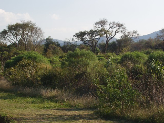 p1010288.jpg