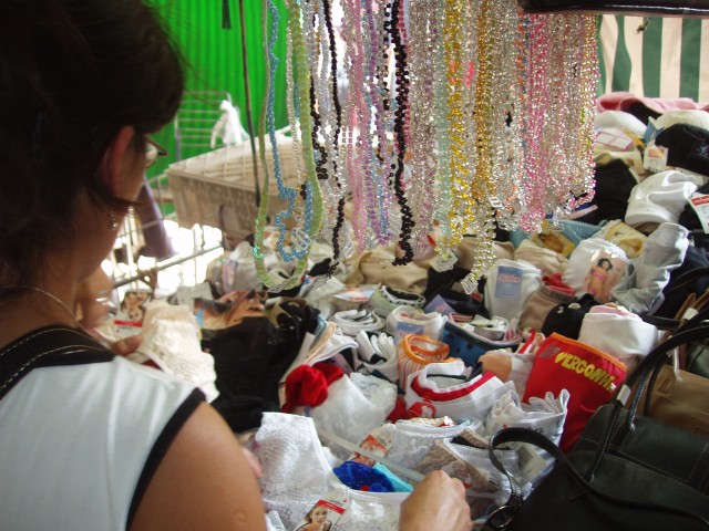 p1010296.jpg