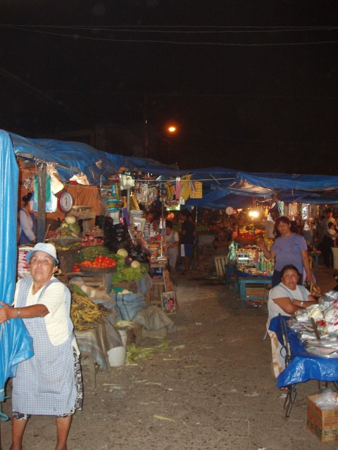 p1010334.jpg