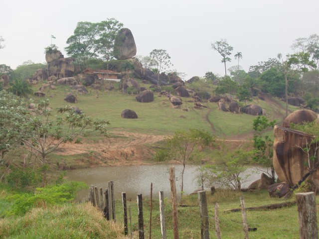p1010380.jpg
