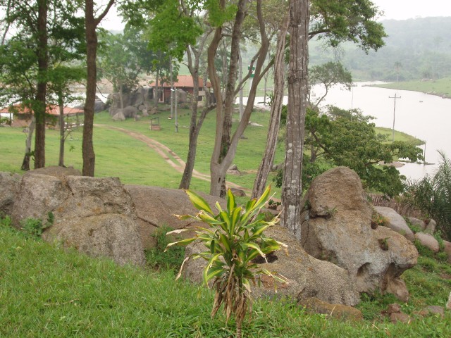 p1010385.jpg