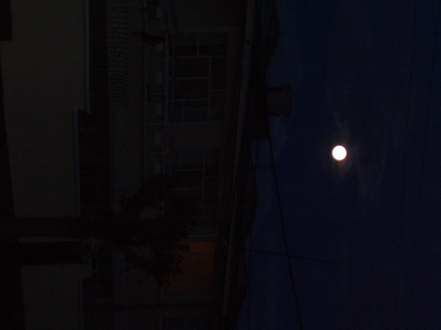 p1010093.jpg