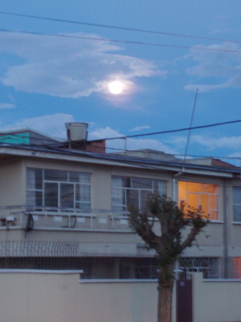p1010094.jpg