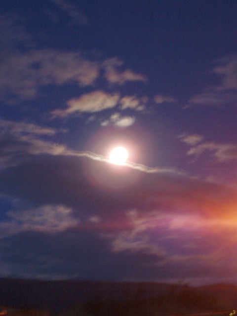 p1010096.jpg