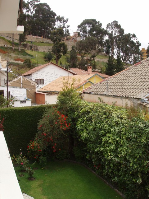 p1010106.jpg
