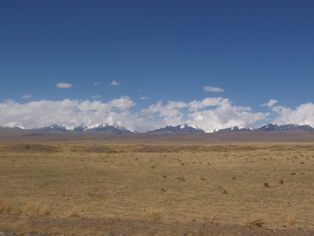 p1040194.jpg
