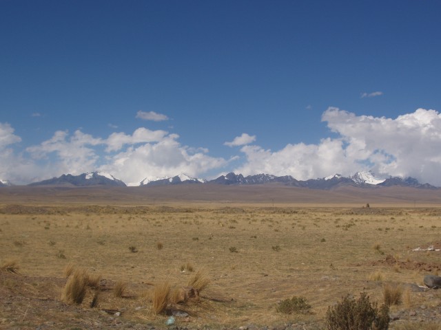 p1040196.jpg