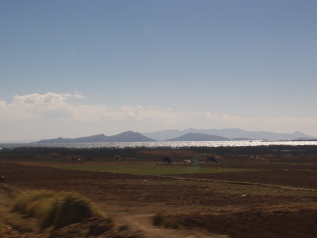 p1040200.jpg