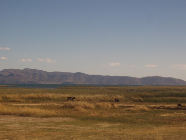 p1040202.jpg