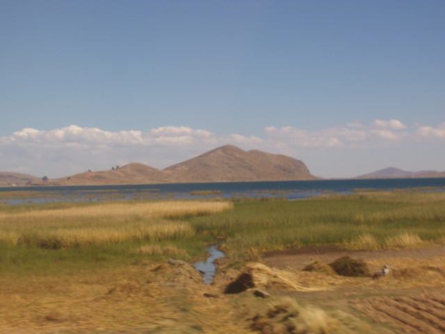 p1040203.jpg