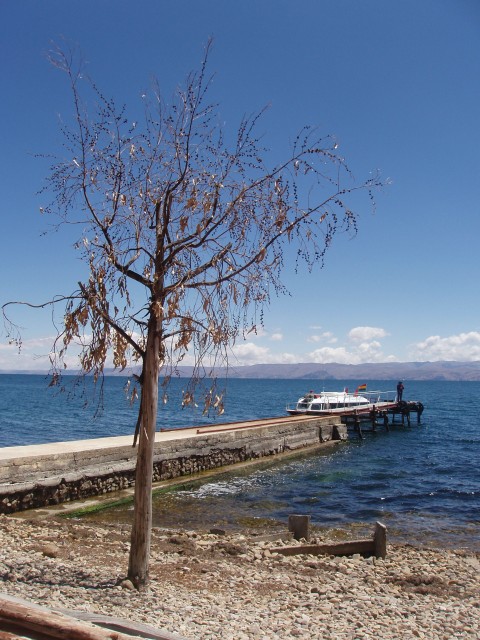 p1040311.jpg