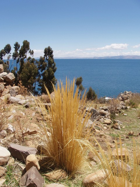 p1040318.jpg