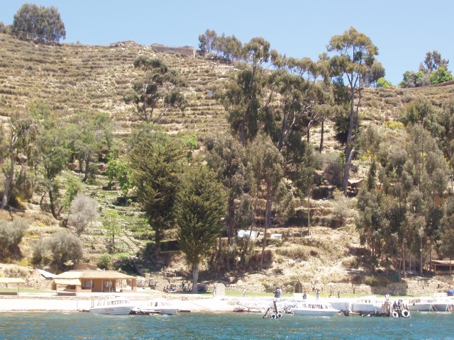 p1050323.jpg