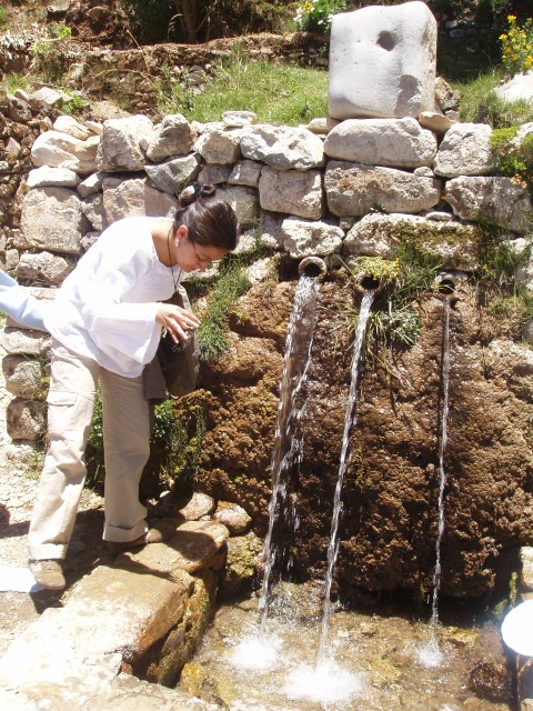 p1050325.jpg