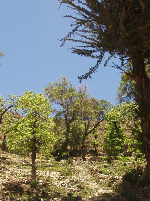 p1050327.jpg
