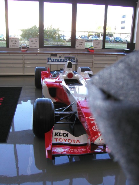 ap1010022.jpg