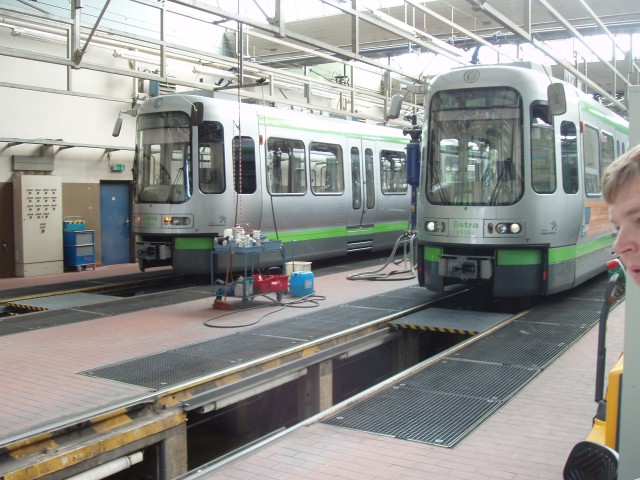 P1010062.JPG