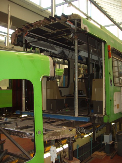 P1010075.JPG