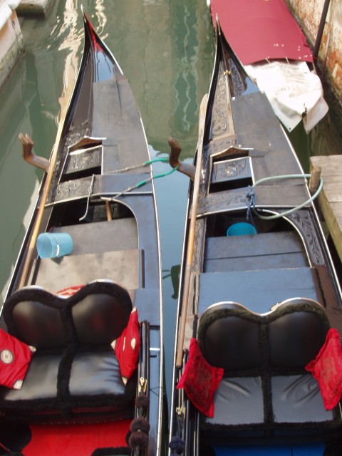 P1010038.JPG
