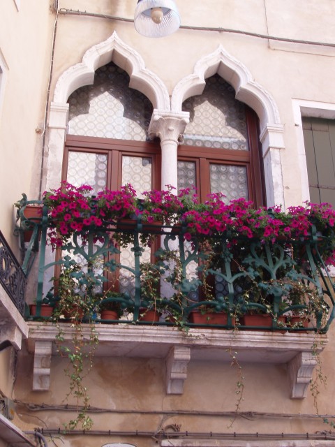 P1010049.JPG