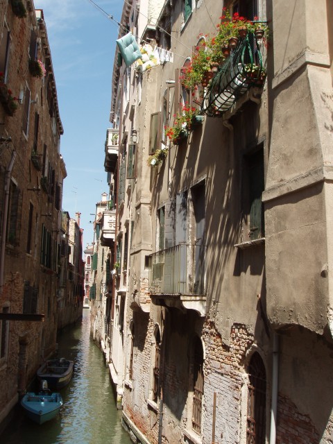 P1010169.JPG