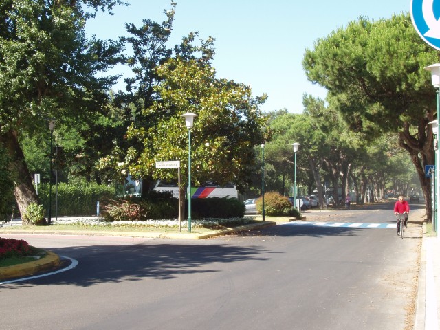 P1010358.JPG