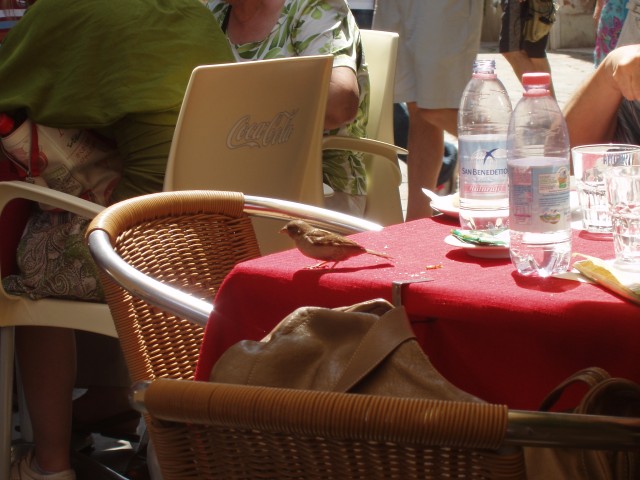 P1010064.JPG